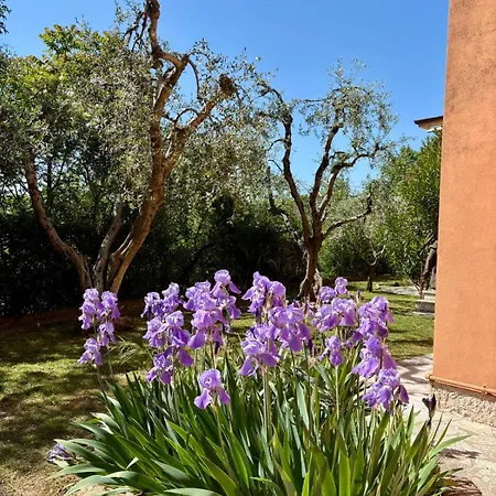 Il Poggio Blu Lägenhet *