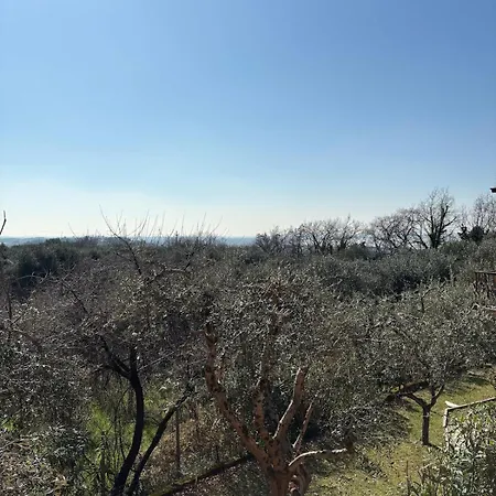 Il Poggio Blu