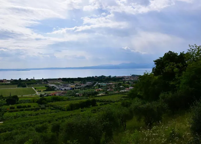 Il Poggio Blu *